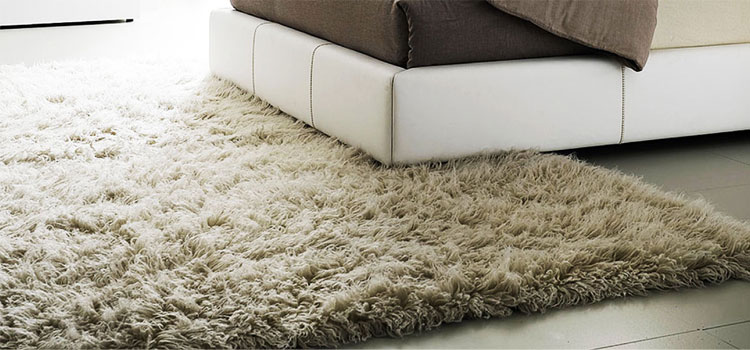 Best Carpet & Rug Dealers