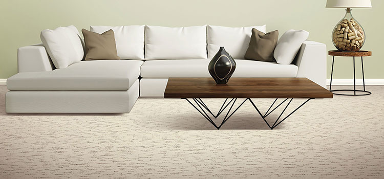 Smartstrand Silk Carpet Dealers