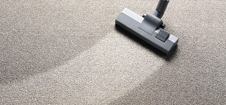 Steam Local Rug Dealers